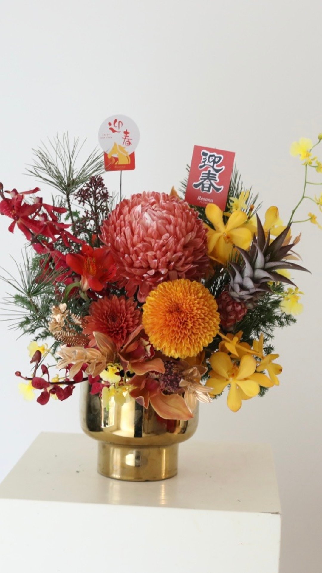 橘祥如意 小宅新春鲜花盆花 - 植栽/盆栽 - 植物．花 橘色