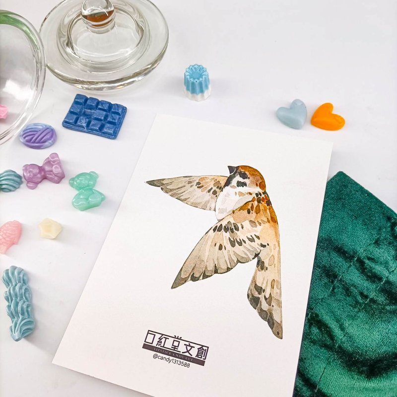 KR474_口紅堂明信片_麻雀9_candy1313588 postcard - 卡片/明信片 - 纸 多色