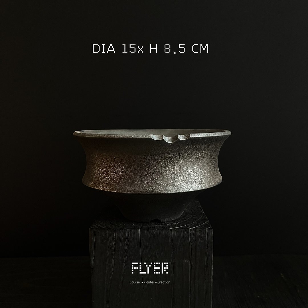 FLYER黑泥系列 块根多肉植物陶盆器 龙舌兰象牙宫盆器 - 花瓶/陶器 - 陶 黑色