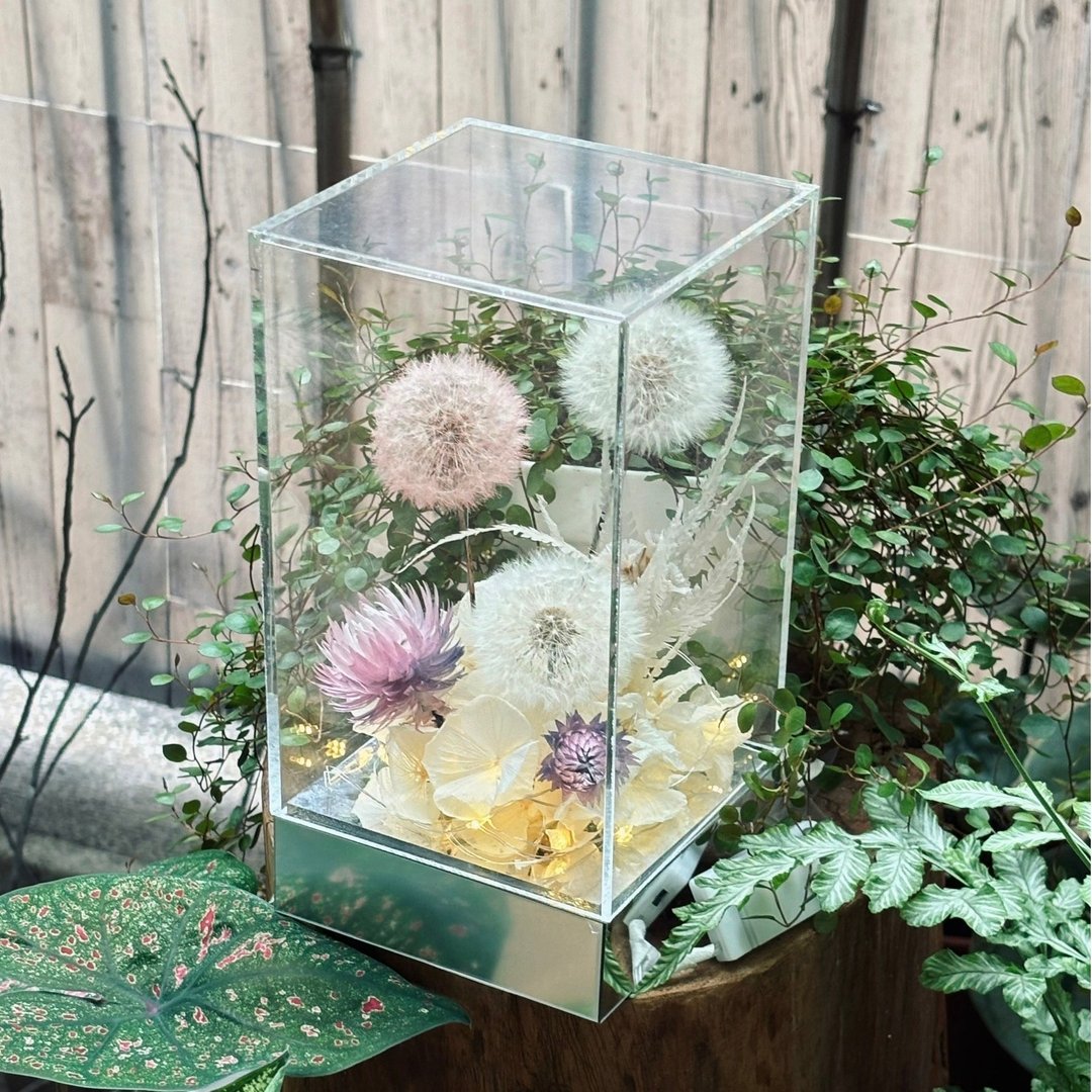 蒲公英 镜面彩色迷雾紫雪款 LED夜灯 - 摆饰 - 植物．花 