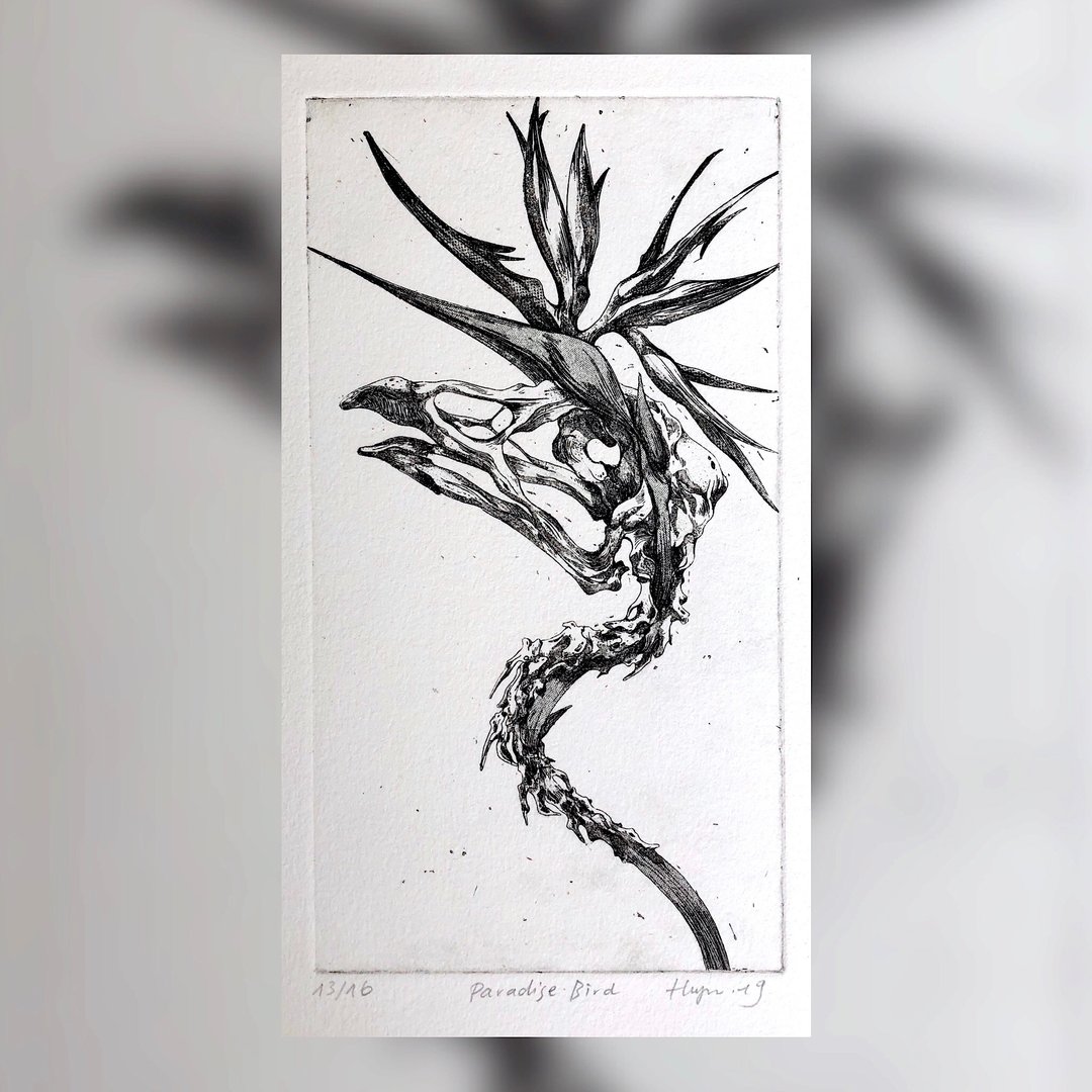 凹版限量版画 - 天堂鸟 - 海报/装饰画/版画 - 纸 黑色