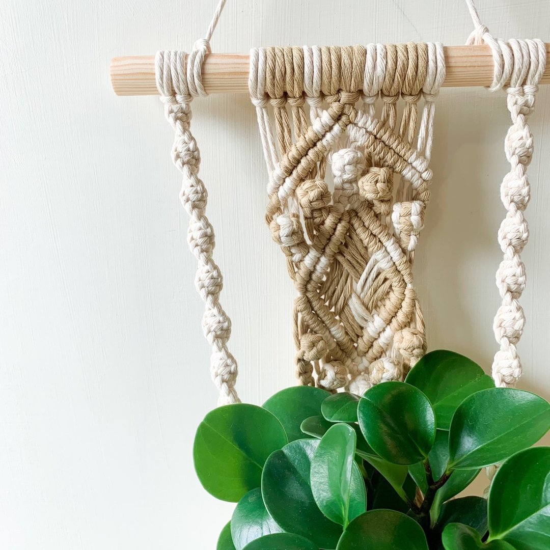 Macrame / Wall hanging / 中型植物壁挂木棍A款 - 摆饰 - 棉 透明