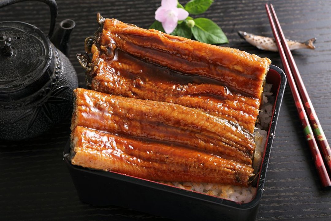 日式蒲烧鳗200g - 其他 - 其他材质 