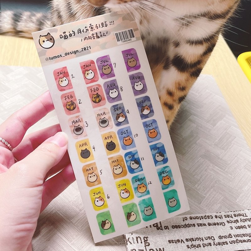 喵的 月份索引贴 - 害羞内向款 / 外向奔放款 - 贴纸 - 纸 橘色