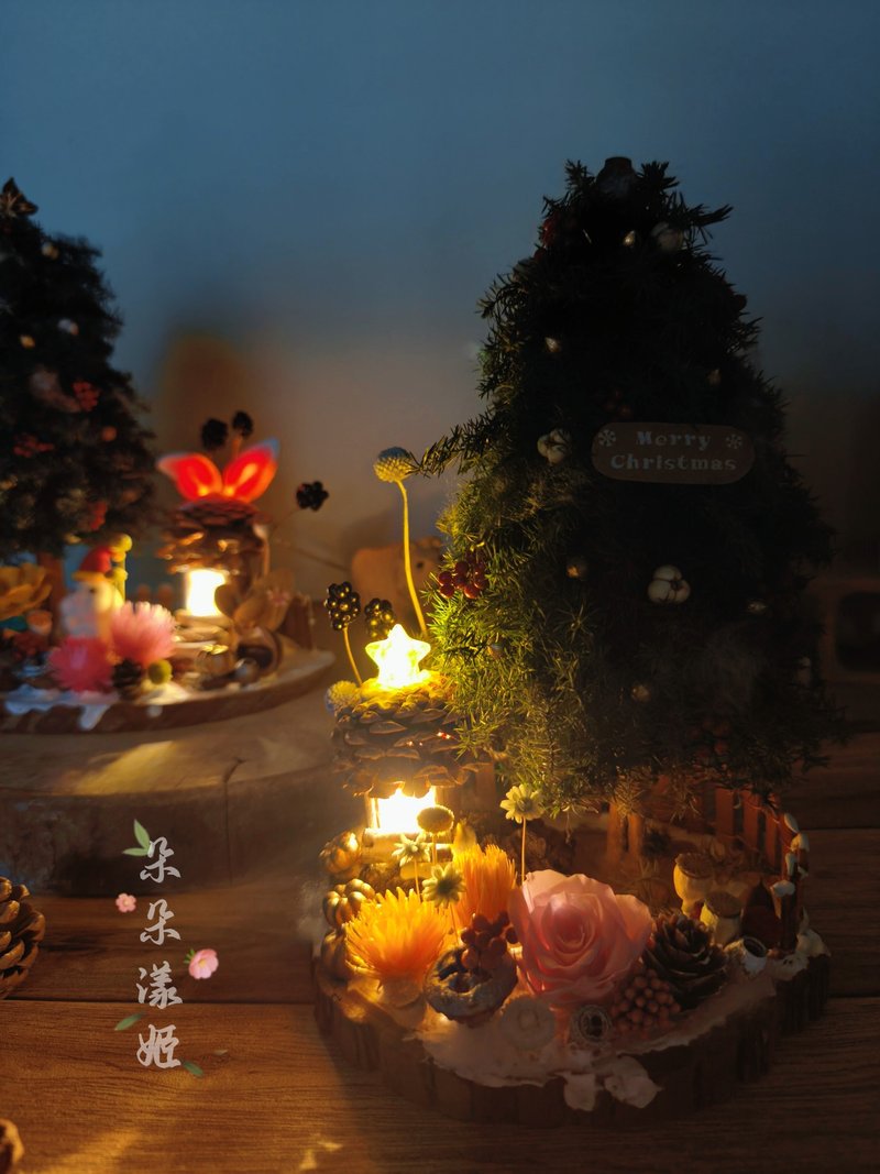 预购永生花圣诞手作材料包DIY有附教学制作影片USB夜灯松果发光屋 - 植栽 - 植物．花 绿色