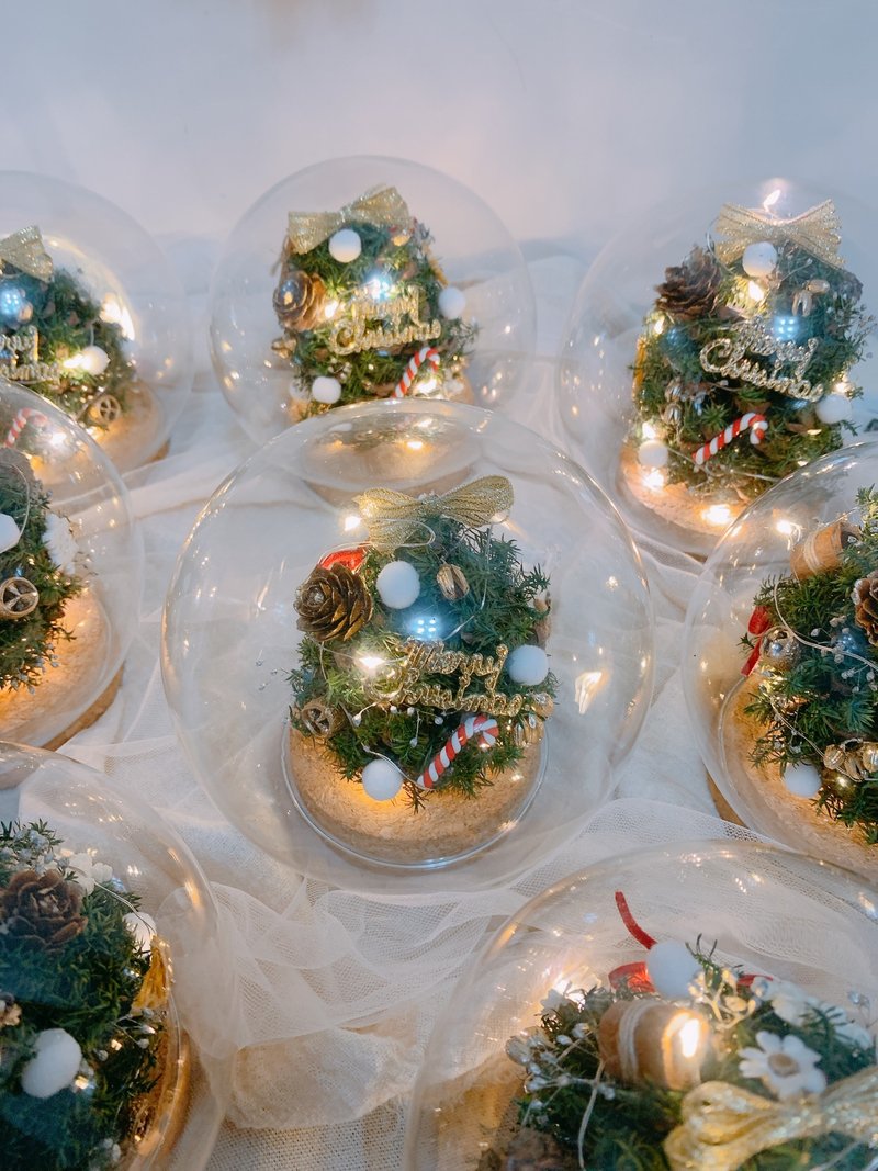 sueing_blossom 永生圣诞树玻璃罩 - 干燥花/捧花 - 植物．花 