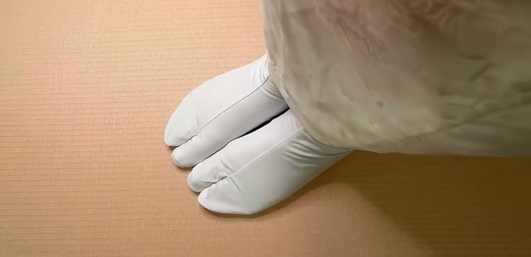 日式 Tabi 分趾袜 | 100% 纯棉白袜 | 和服浴衣搭配 - 袜子 - 棉 白色