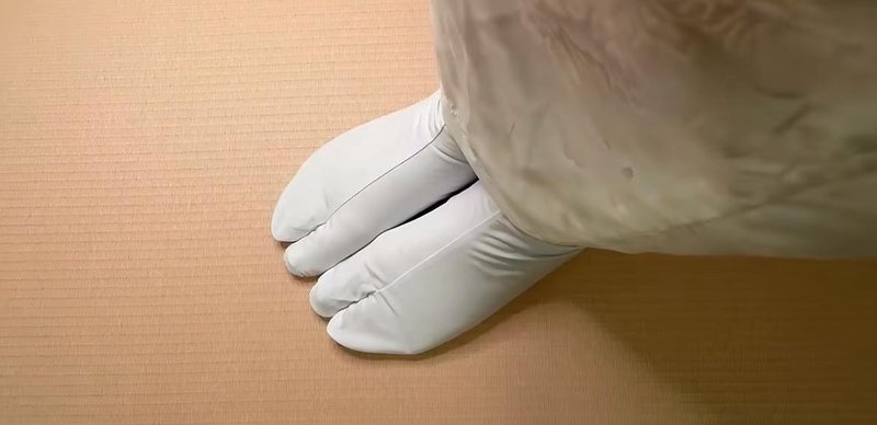 日式 Tabi 分趾袜 | 100% 纯棉白袜 | 和服浴衣搭配 - 袜子 - 棉．麻 白色