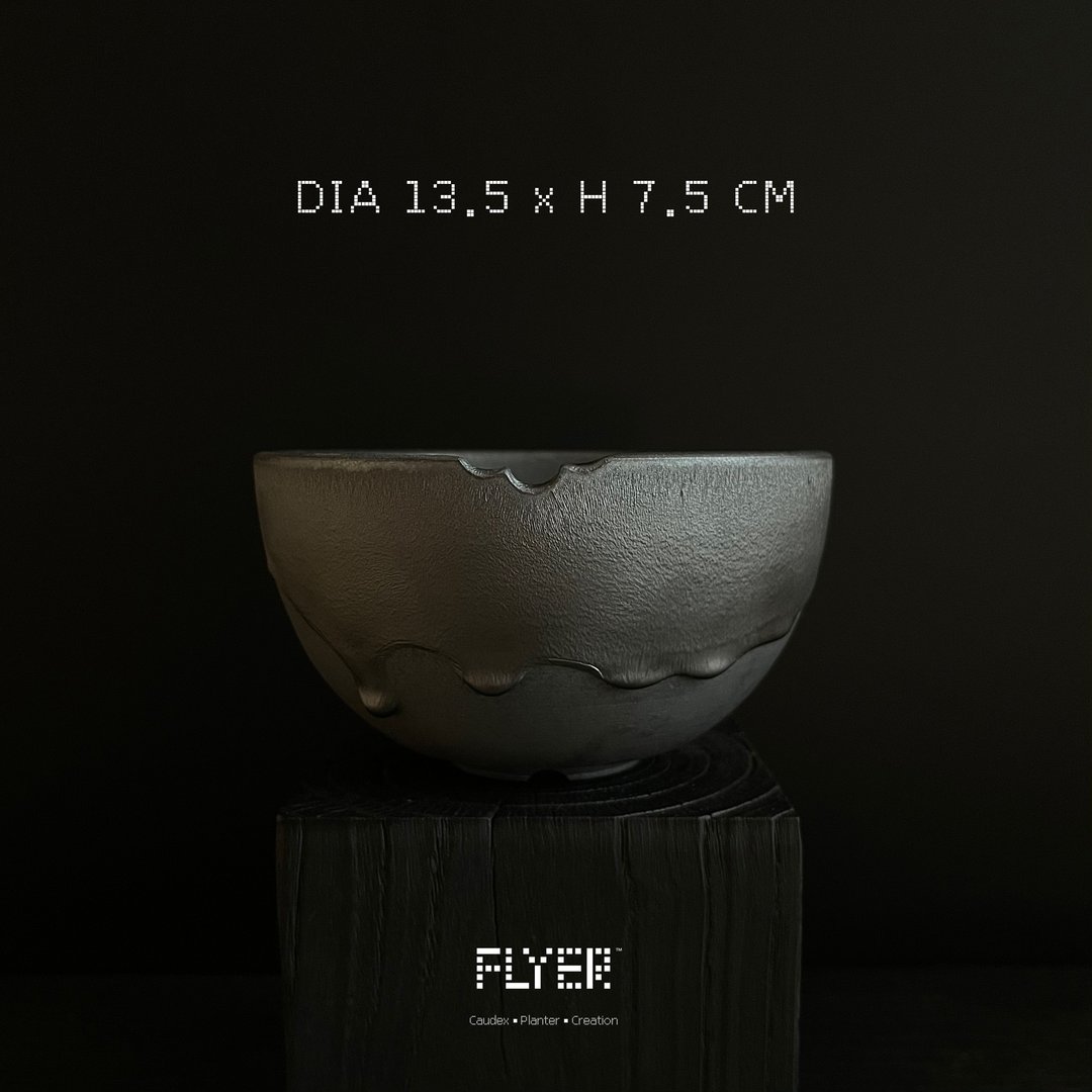 FLYER黑泥系列 块根多肉植物陶盆器 龙舌兰象牙宫盆器 - 花瓶/陶器 - 陶 