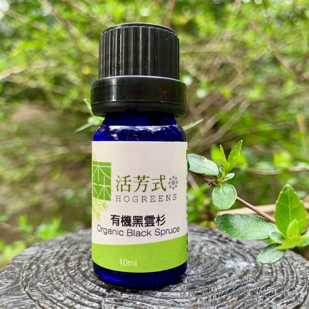 有机黑云杉精油 - 香薰/精油/线香 - 植物．花 