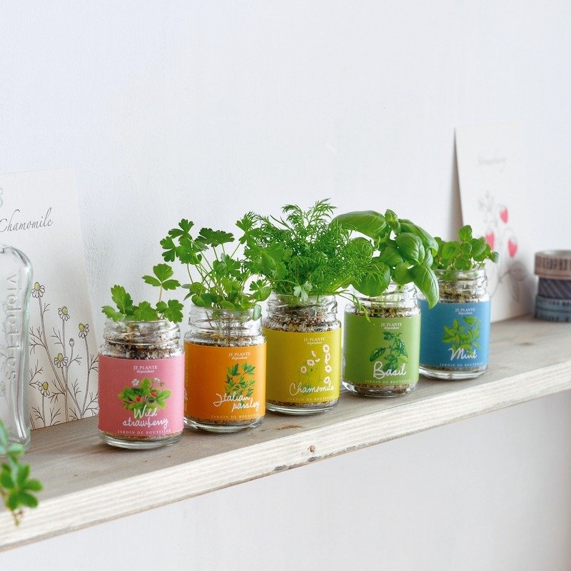 【福利品出清】KITCHEN BOTTLE 可爱杂货植栽盆器 / 调味罐 - 植栽/盆栽 - 玻璃 多色
