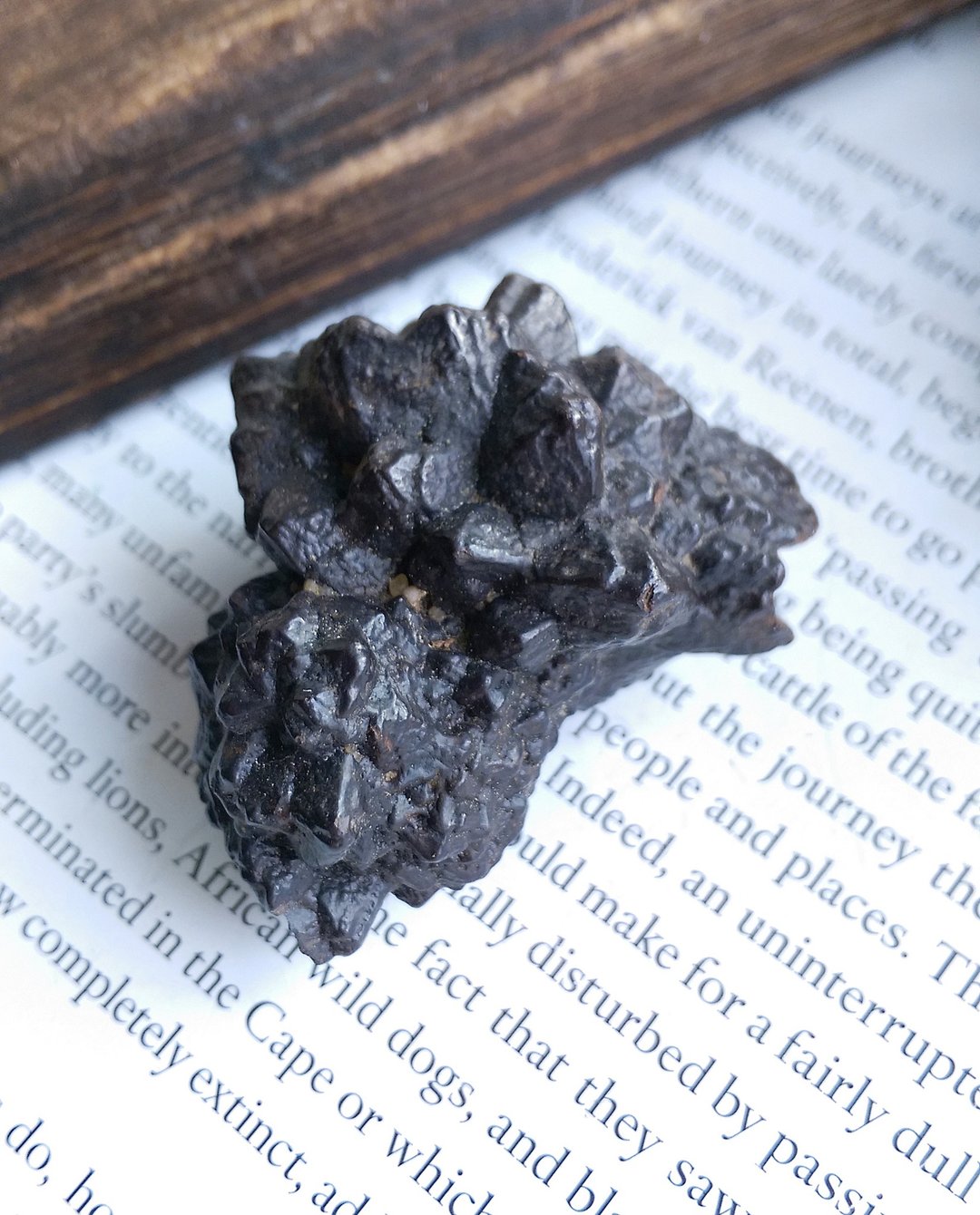 Prophecy Stone 埃及产地 埃及预言石  假象矿物 天然矿石 原矿 - 摆饰 - 其他材质 