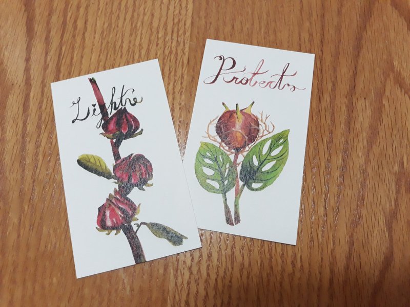 心花怒放书签小卡单张20 - 书签 - 纸 多色