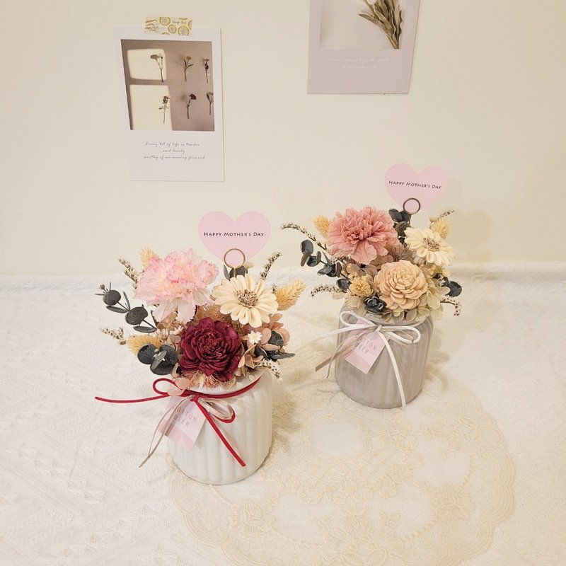 永生康乃馨桌花。盆花。摆饰。附包装。母亲节花礼 - 干燥花/捧花 - 植物．花 