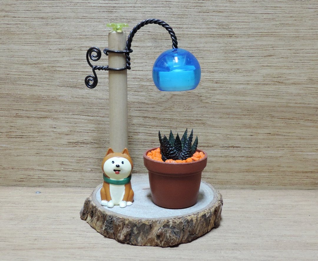 悠哉小日子 · 感受生活的美好 · 多肉小品植物 - 植栽/盆栽 - 其他材质 