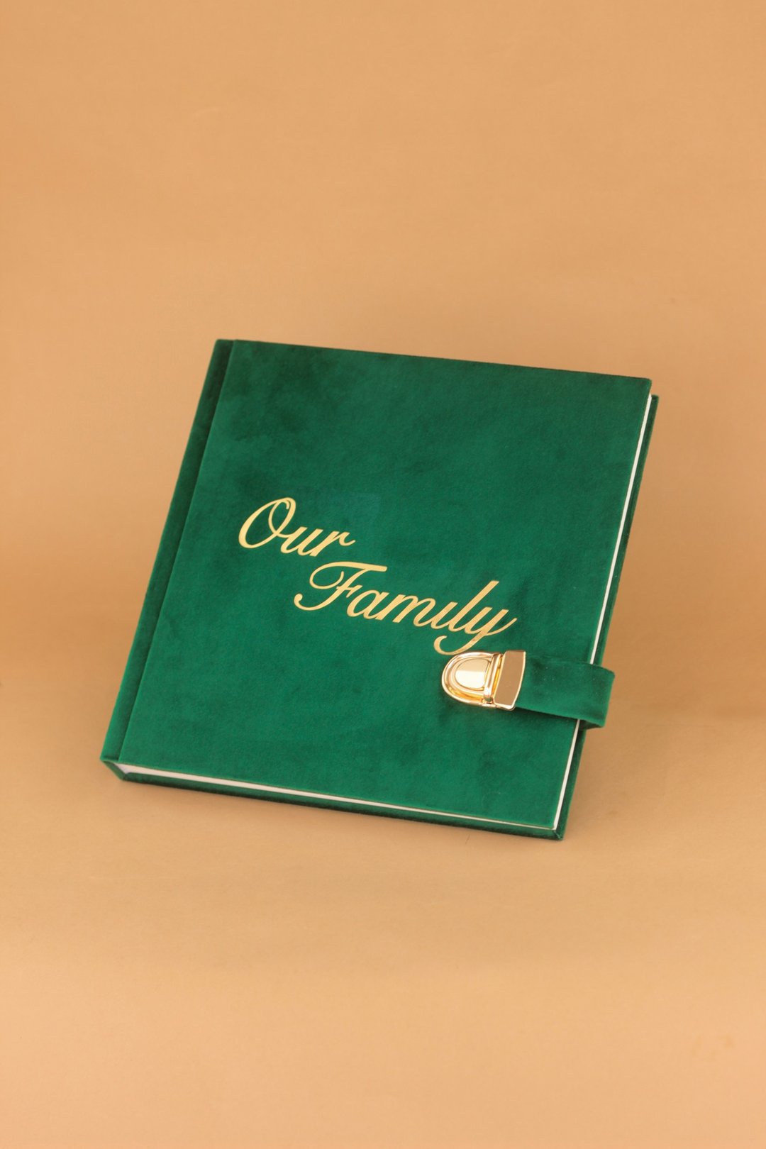 Family album for photos, book of wishes measuring 23x23 cm - 相簿/相册 - 纸 多色