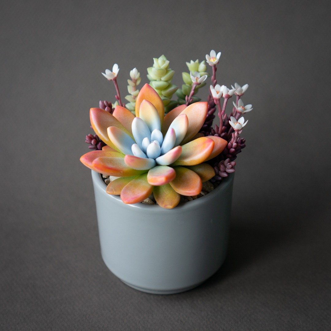 Grey jewelry box with orange &amp; purple succulent arrangement - 收纳用品 - 其他材质 