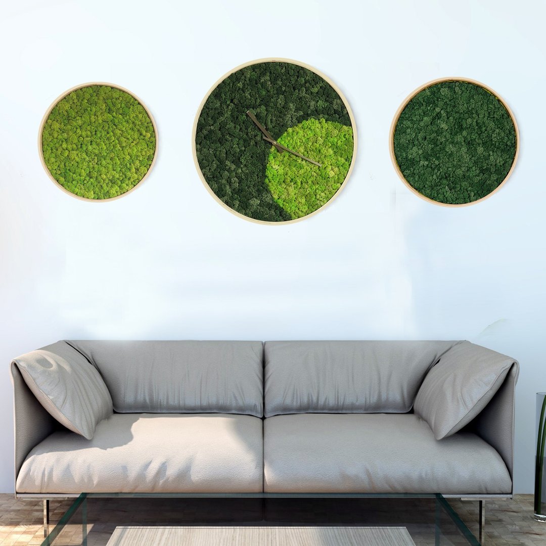 Moss wall art in round frames set of 3 | Modular home decor | Hanging pictures - 墙贴/壁贴 - 植物．花 绿色