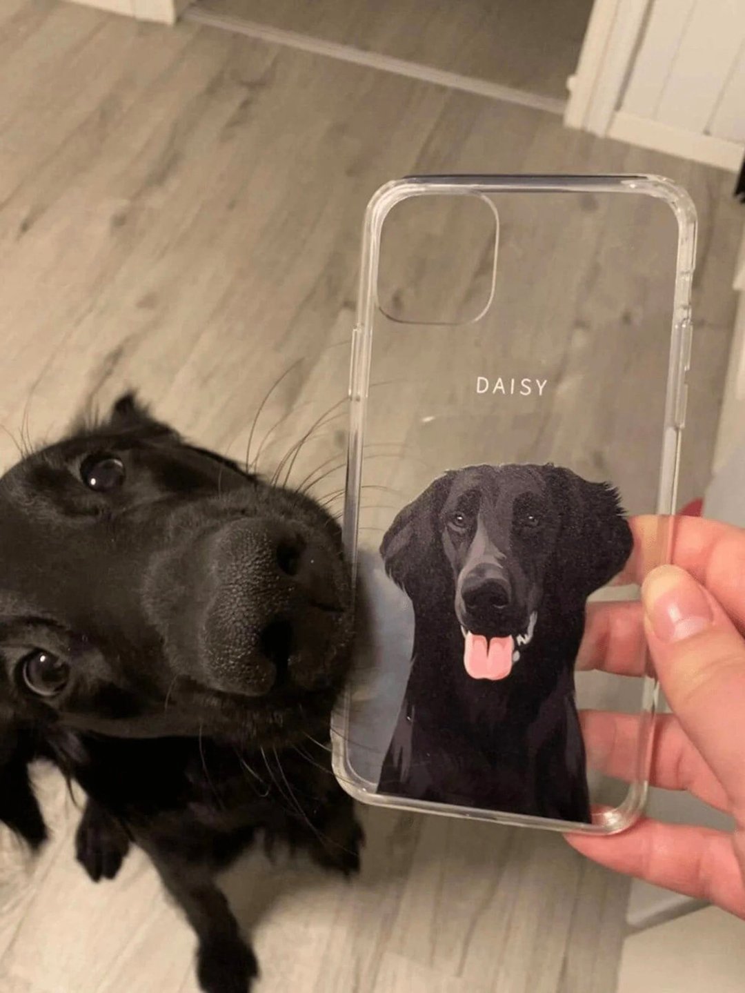 定制化手工宠物自画像手机壳 客制化手绘iPhone手机壳毛孩子肖像 - 手机壳/手机套 - 其他材质 多色