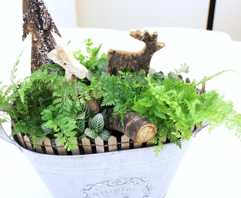 一方绿 - 植栽/盆栽 - 植物．花 绿色