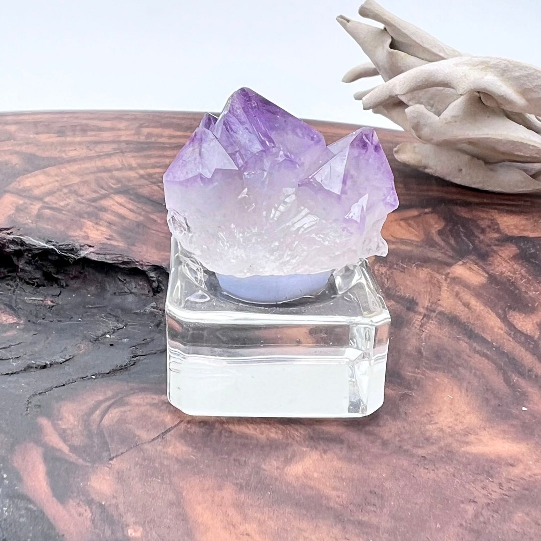 紫宓。原矿 疗愈 放大能量 l 南非紫晶仙人掌水晶 精灵水晶 l - 摆饰 - 水晶 紫色