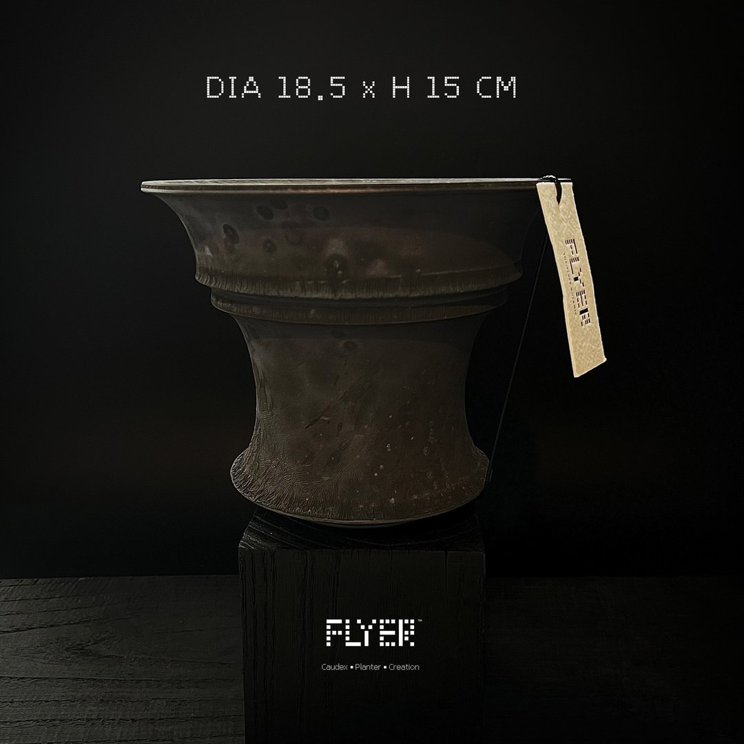 FLYER 块根多肉植物陶盆器 龙舌兰象牙宫象足漆树盆器 - 花瓶/陶器 - 陶 黑色