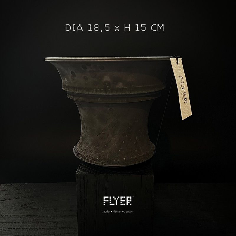 FLYER 块根多肉植物陶盆器 龙舌兰象牙宫象足漆树盆器 - 花瓶/陶器 - 陶 黑色