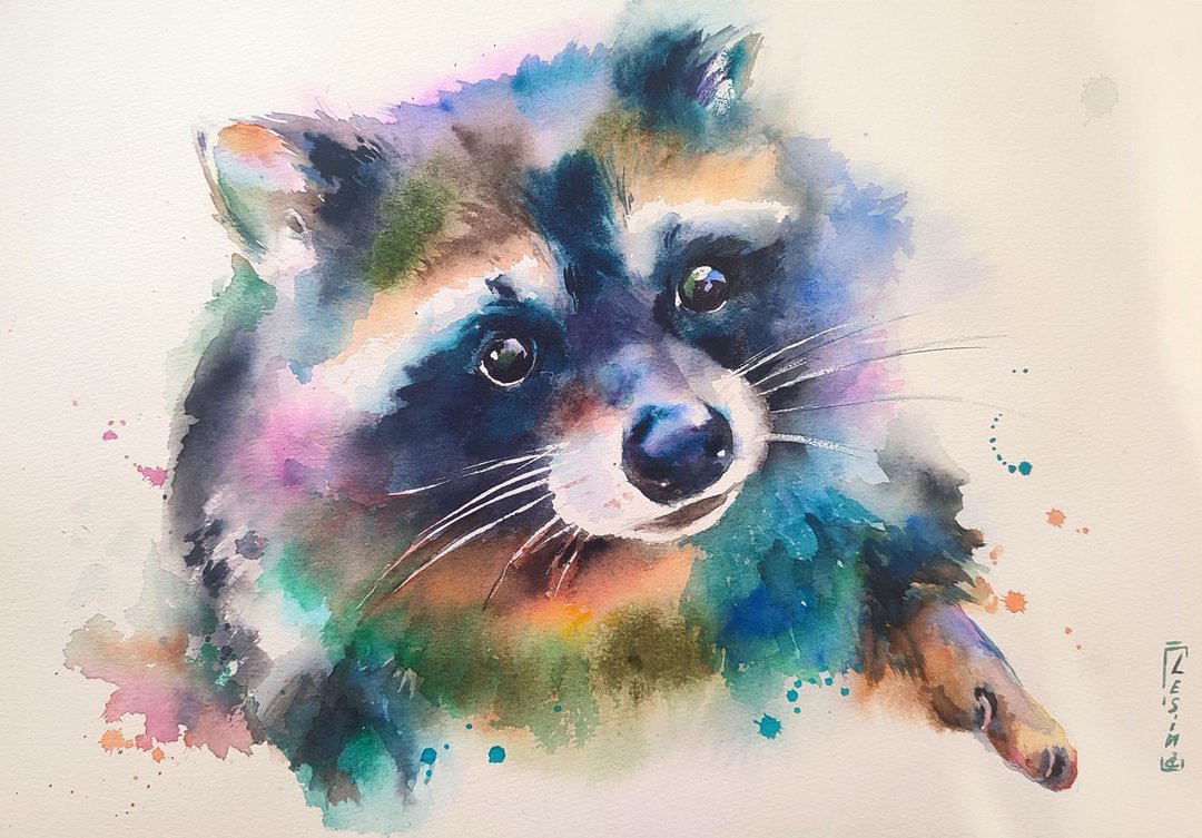 浣熊水彩画多彩动物艺术浣熊插画原创 - 墙贴/壁贴 - 其他材质 