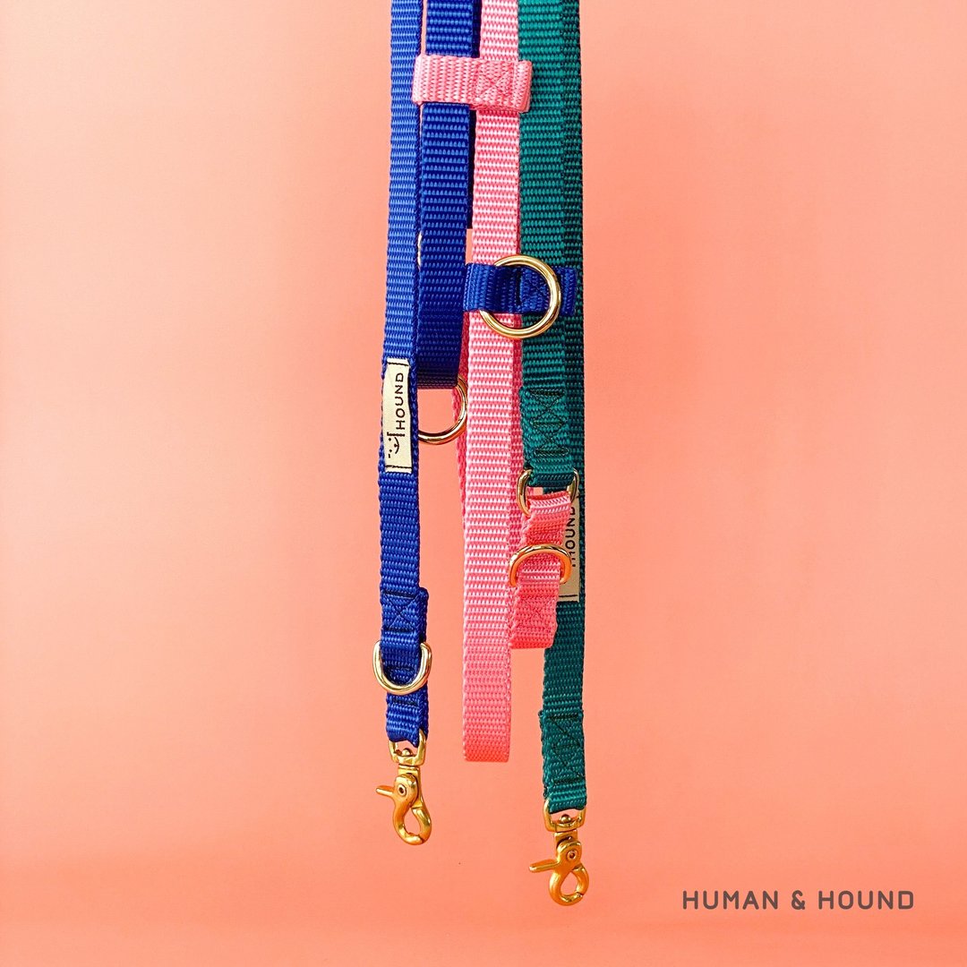 Multifunctional Leash - The LOTUS - 项圈/牵绳 - 其他材质 多色