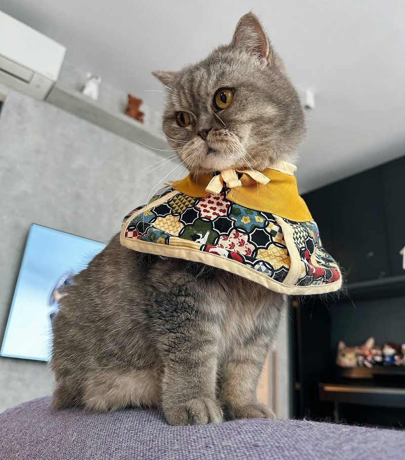 猫咪专用头罩 防抓防舔 伊莉莎白项圈 - 衣/帽 - 棉 多色