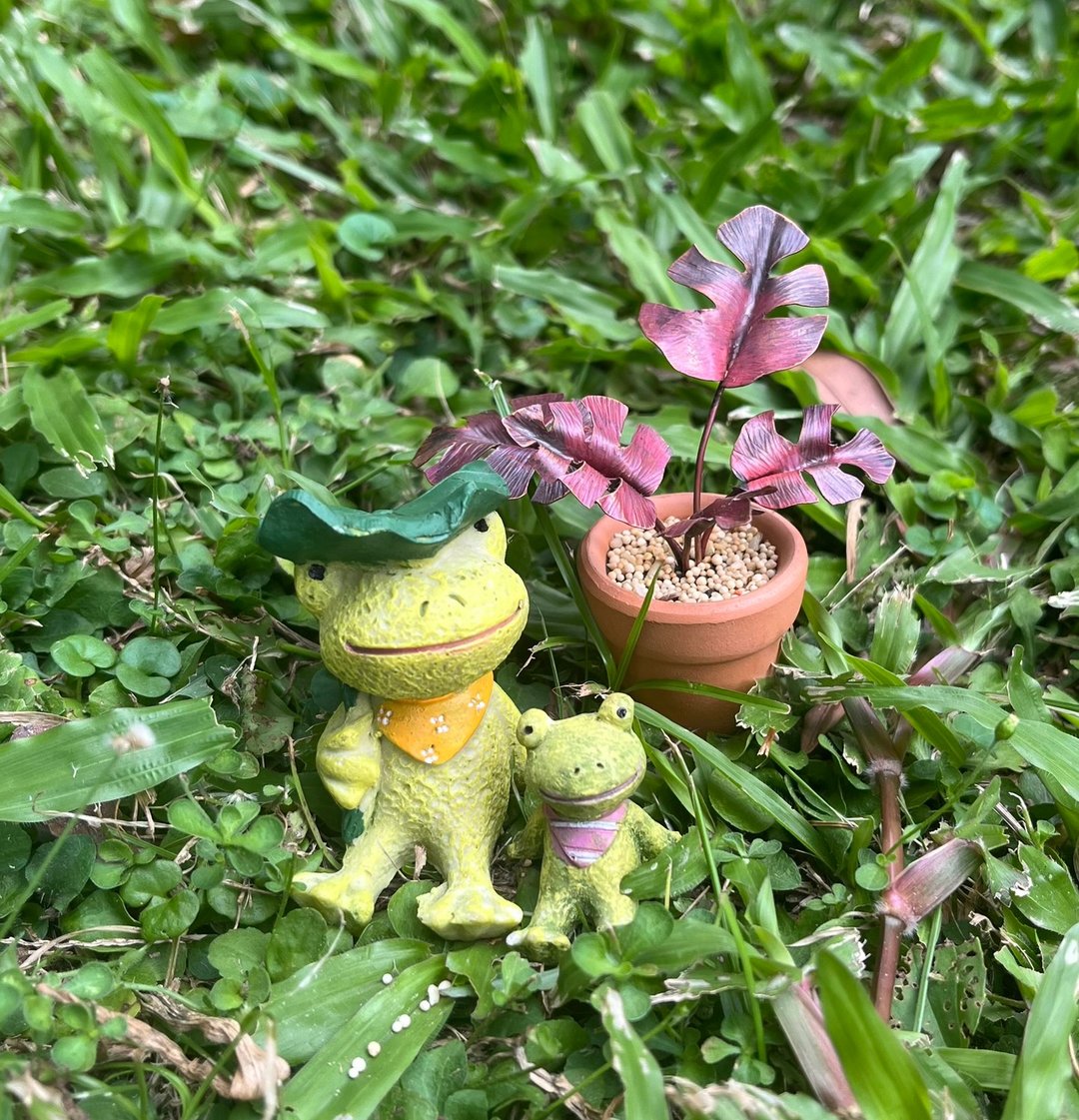 你的小植栽 - 金工/饰品 - 铜/黄铜 