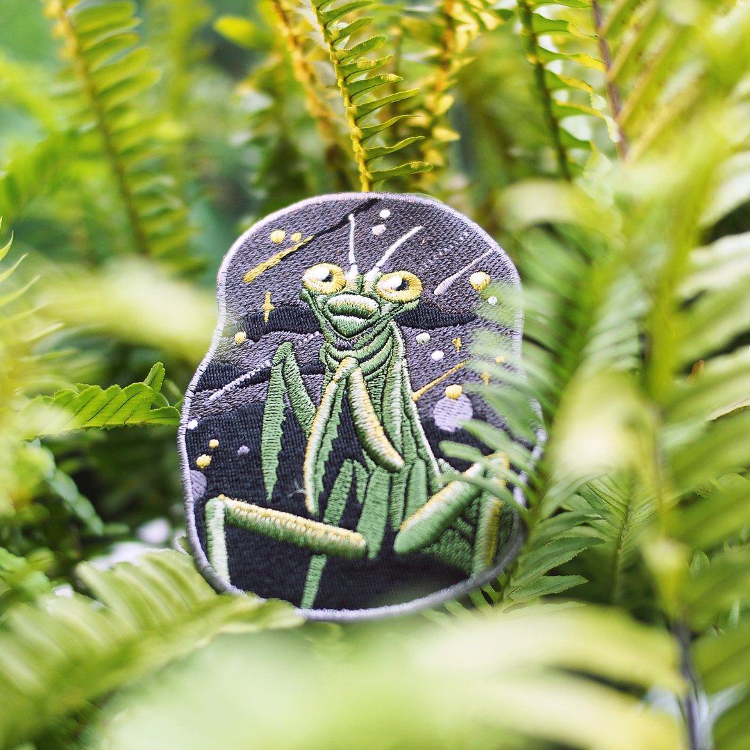 Mantis Galaxy Embroidered Iron-on Patch Design - 其他 - 绣线 绿色