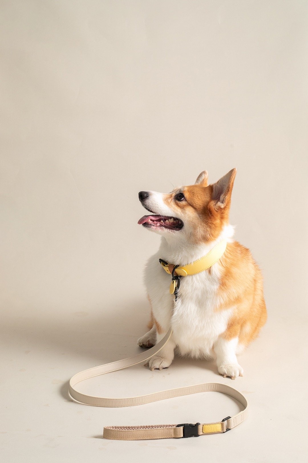 Doggu Leash Vacation Collection - BEIGE - 项圈/牵绳 - 真皮 绿色