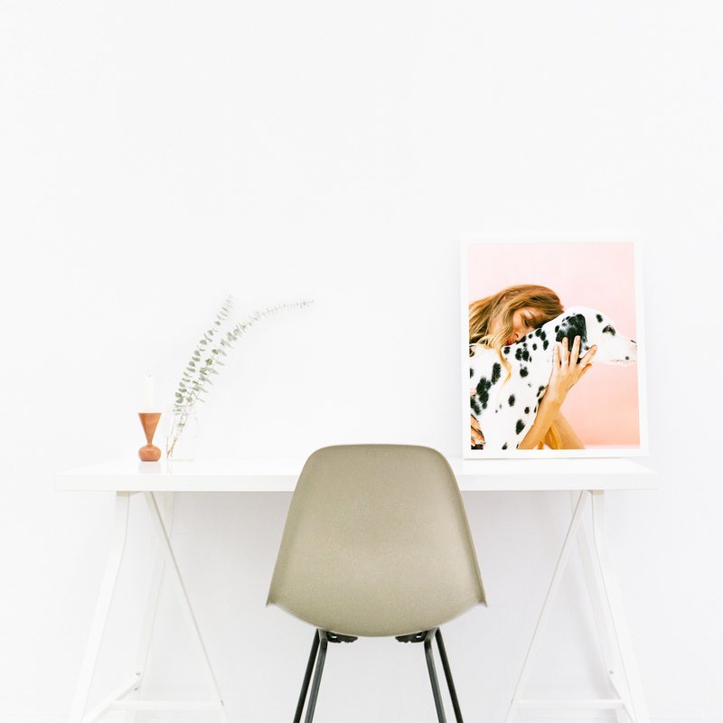 【 :toPET定制化】 壁画/挂画 连框 - 画框/相框 - 纸 多色