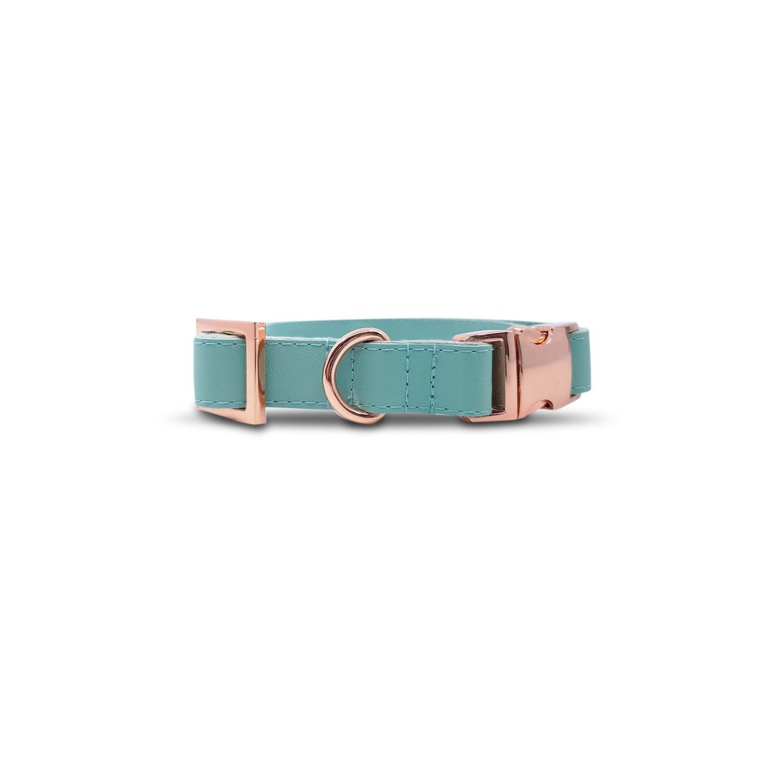 Mint Dog Collar with Rose Gold Hardware - 项圈/牵绳 - 其他材质 绿色