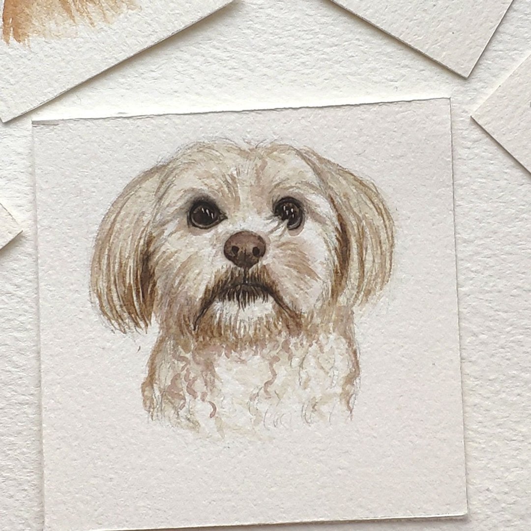 Custom illustration,  mini pet portrait painting, watercolor custom portrait生日礼物 - 订制画像 - 纸 