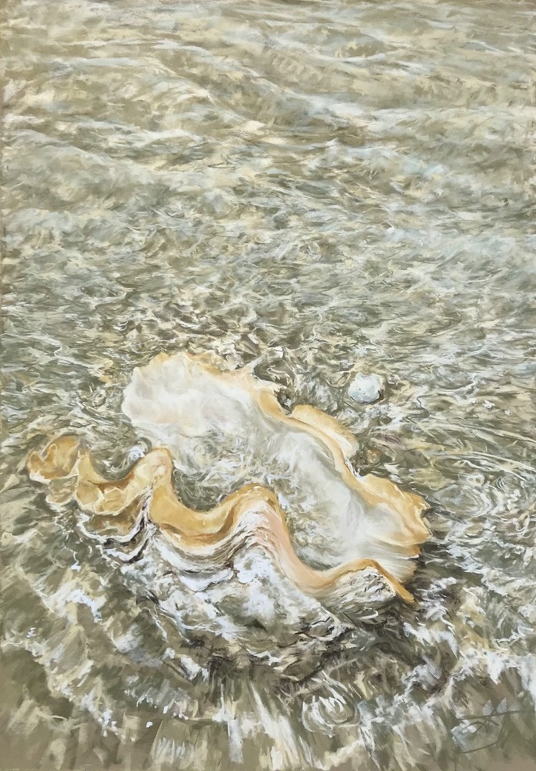 原创绘画贝壳粉彩海景海洋生物手工家居装饰墙壁艺术 - 海报/装饰画/版画 - 环保材料 金色