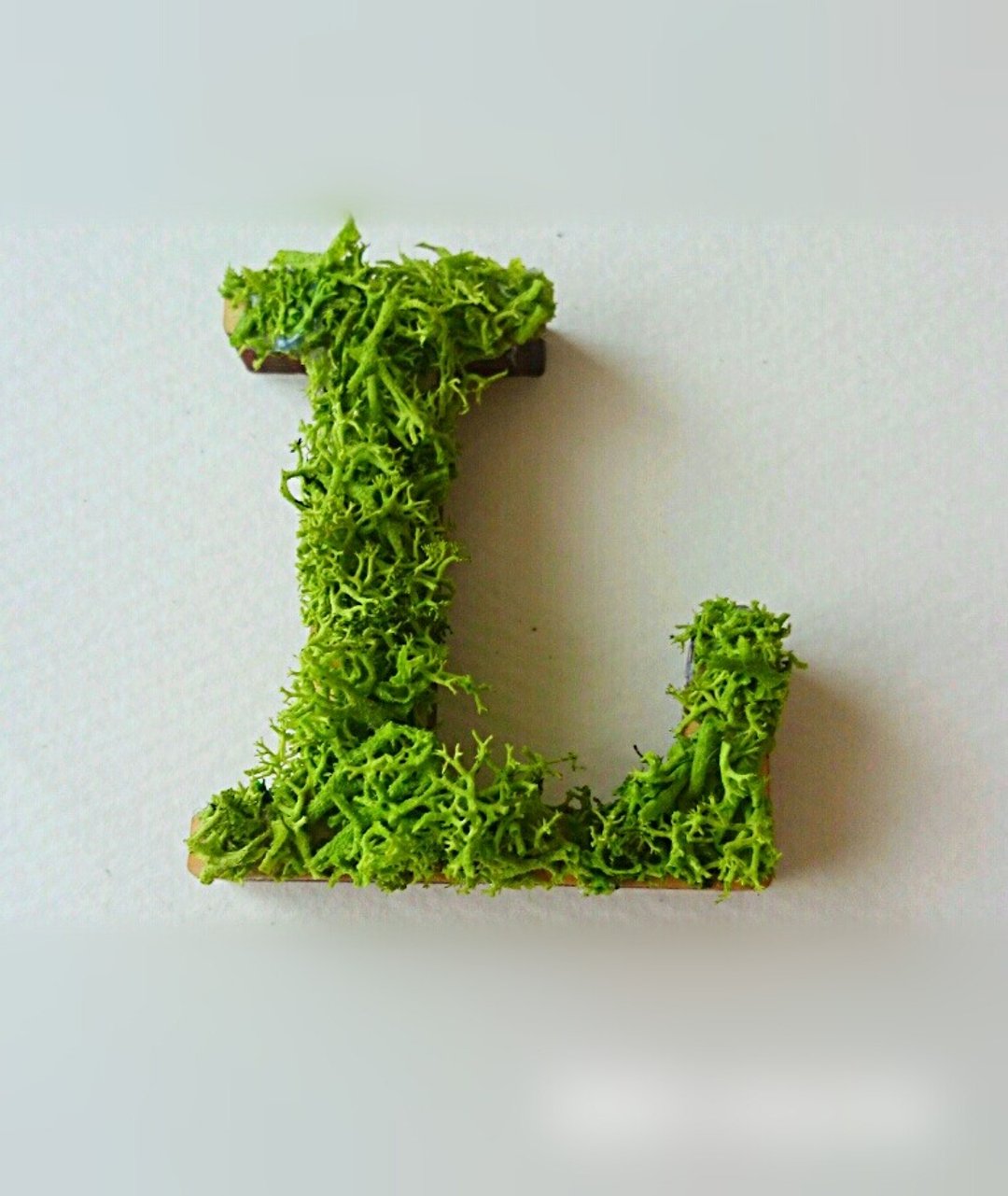 Wooden Alphabet Object (Moss) 5cm/Lx 1 piece - 摆饰 - 木头 绿色