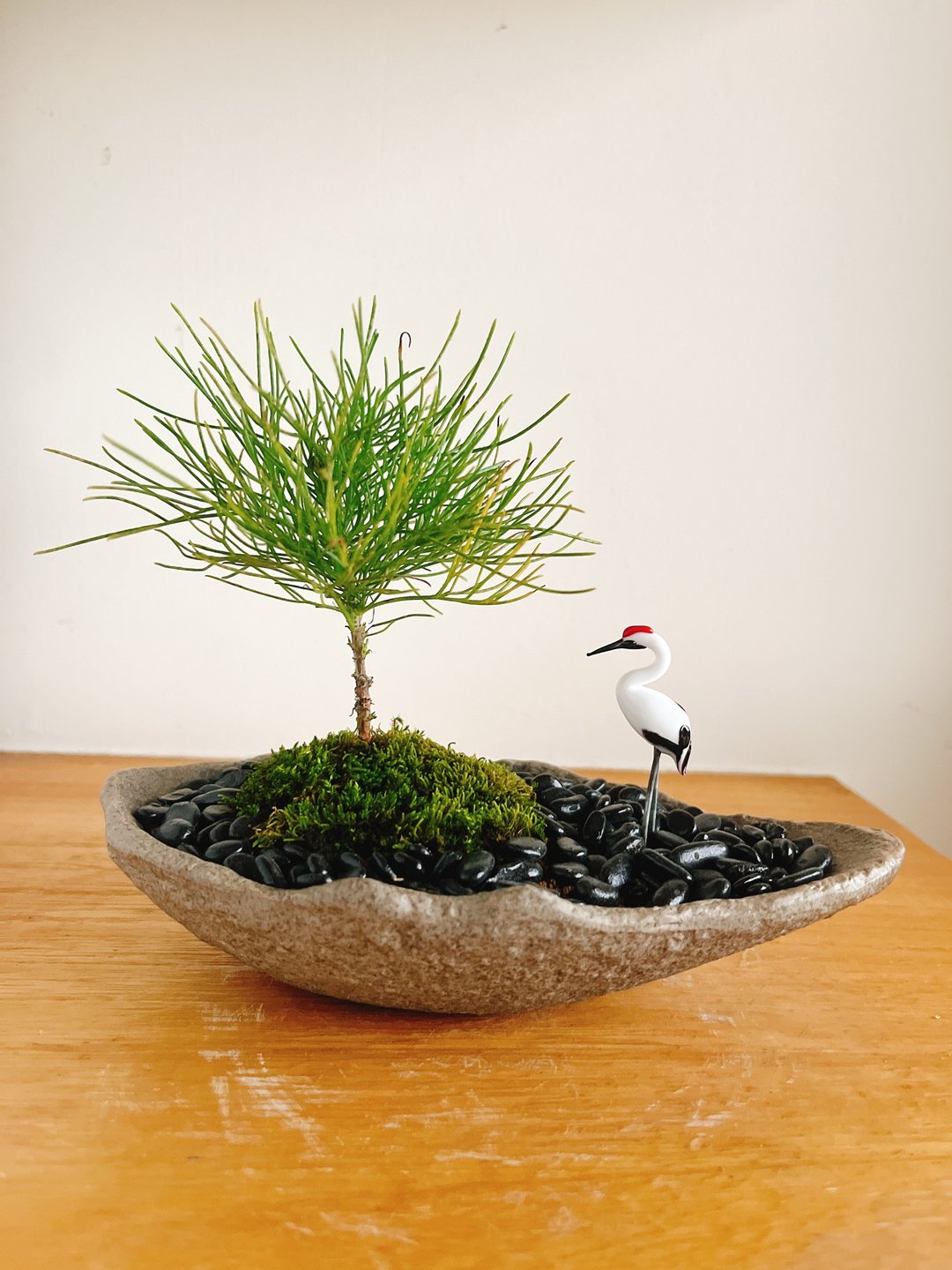 纯自然 日式盆栽 禅 小树 盆栽 仙鹤 金龟 送礼 zen - 植栽/盆栽 - 植物．花 绿色