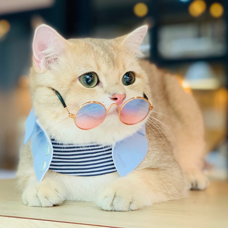 【Momoji】宠物便服围兜 - Aberdeen (01-Electric Blue 铁青蓝) - 项圈/牵绳 - 棉．麻 蓝色