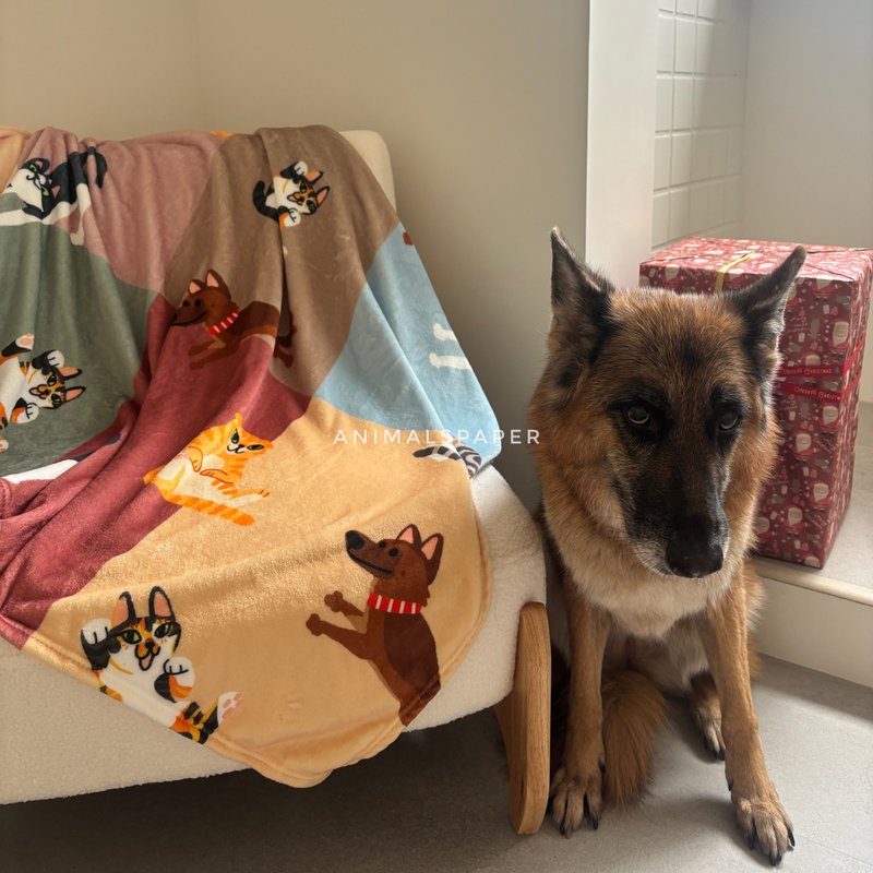 【定制毛毯。圣诞配色】毛孩  宠物 纪念 礼物 - 订制抱枕/饰品 - 其他人造纤维 