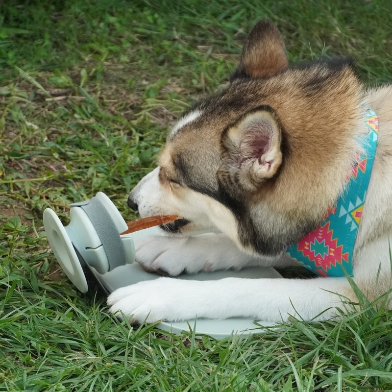 【Lunoji】 CHEWDEN 交互式慢食咀嚼座 - 三件组 - 碗/碗架 - 其他材质 绿色