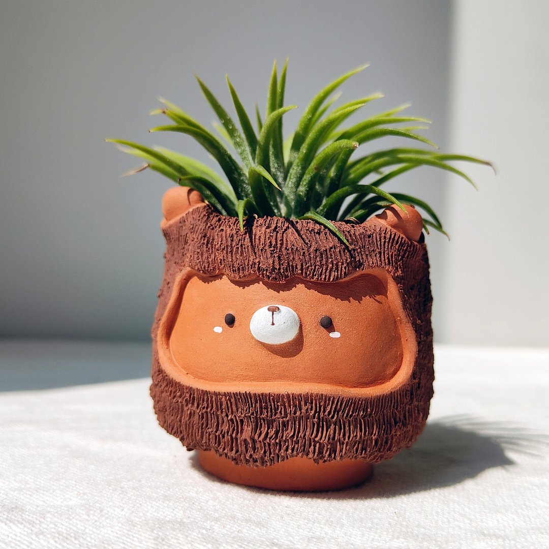 (4MP) 2 inch, furry bear planter. - 花瓶/陶器 - 陶 