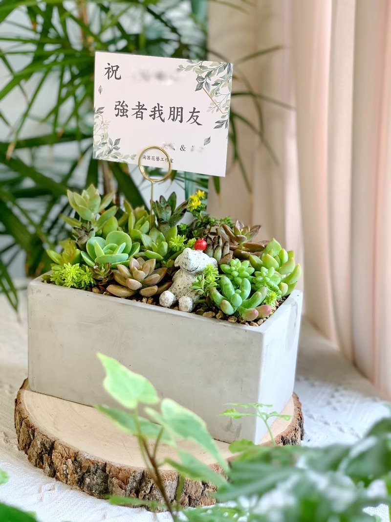 【开幕贺礼】水泥多肉组盆-长方形款.新居落成.升官乔迁 - 植栽/盆栽 - 植物．花 绿色