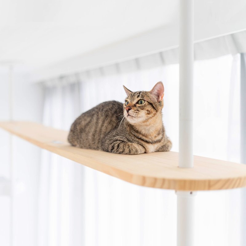 天空步道 | 实木走道 - 抓板/跳台 - 木头 