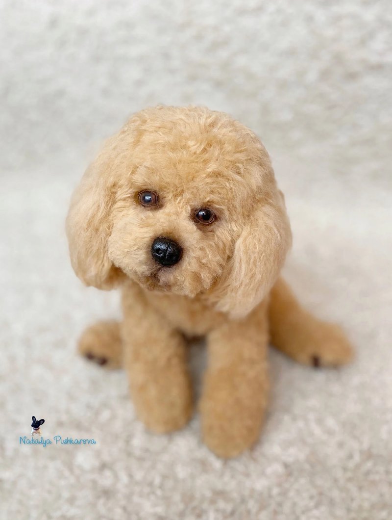 桃子贵宾犬逼真的玩具 - 玩偶/公仔 - 聚酯纤维 白色