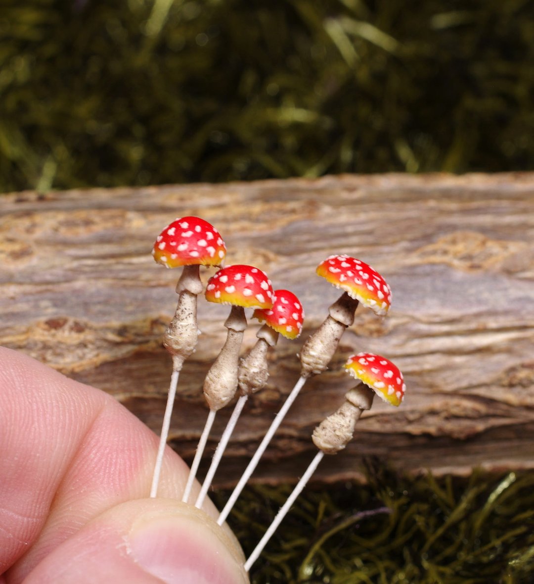 Amanita. Mushrooms miniature. Halloween.Mushrooms. - 植栽 - 粘土 