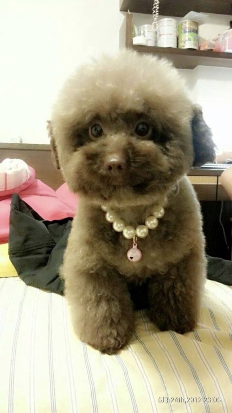 贵宾狗gogoro定制化皮套 - 钥匙链/钥匙包 - 真皮 灰色