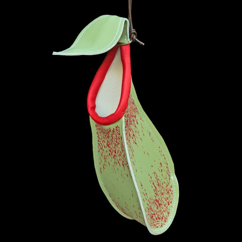 Nepenthes charm M size - 其他 - 其他材质 绿色