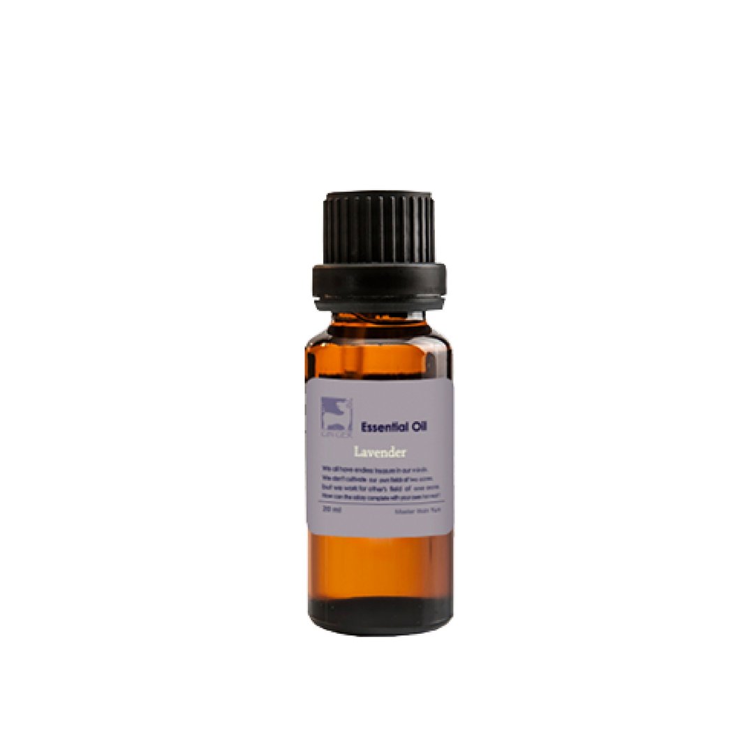 【GIN-GER】薰衣草姜芬精油 20ml - 香薰/精油/线香 - 精油 